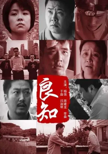 良知电影海报