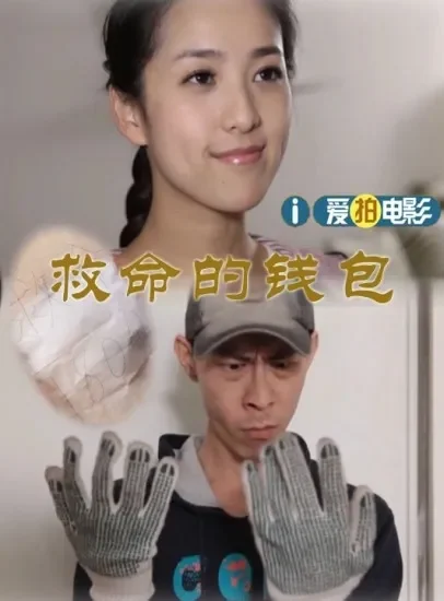 救命的钱包电影海报