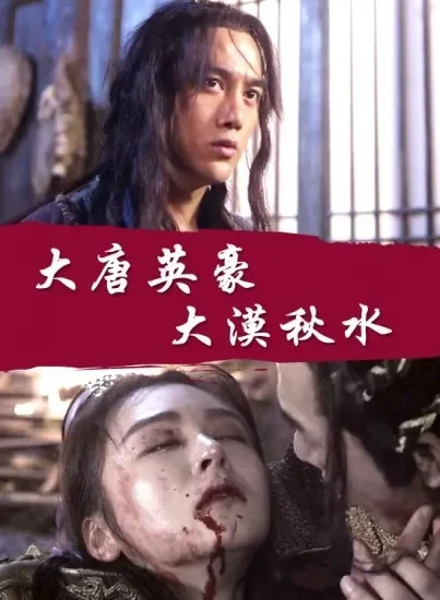 大唐英豪之大漠秋水电影海报