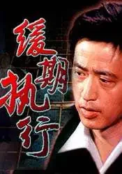 缓期执行电影海报