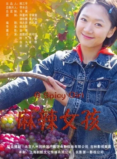 麻辣女孩电影海报