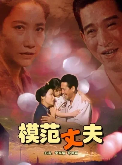 模范丈夫电影海报