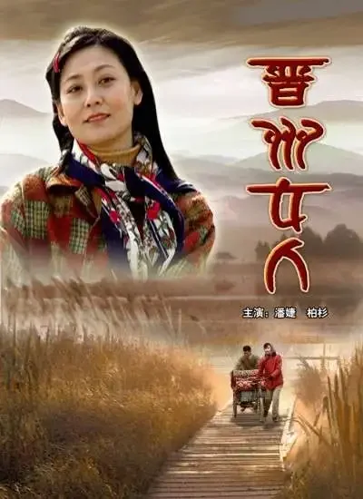 晋州女人电影海报