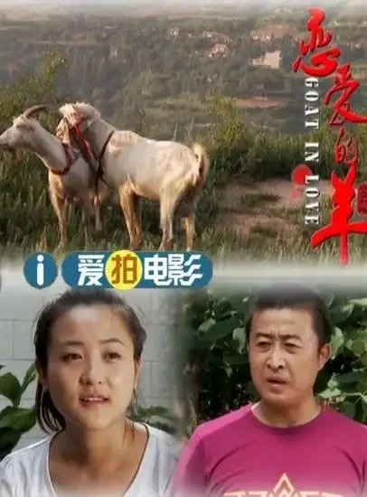 恋爱的羊电影海报
