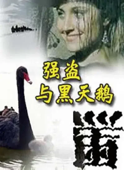 强盗与黑天鹅电影海报