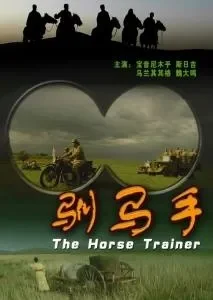 驯马手电影海报
