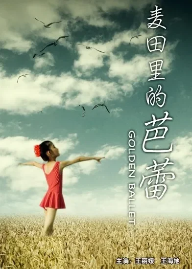 麦田里的芭蕾电影海报