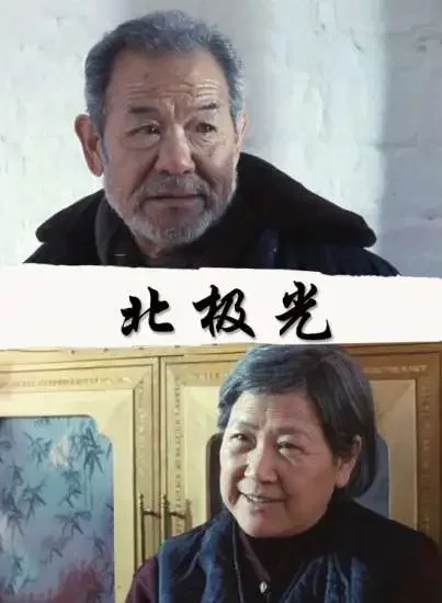 北极光电影海报