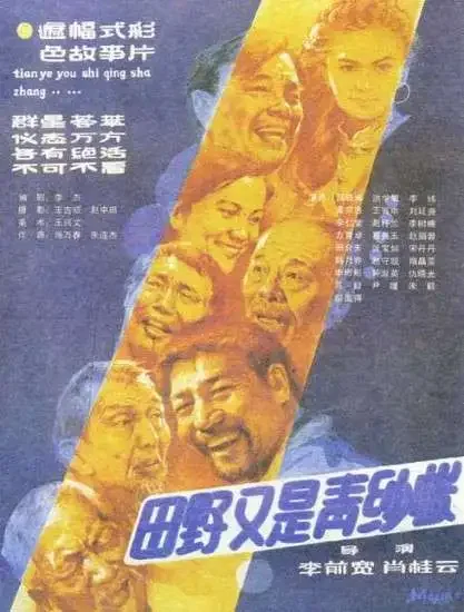 田野又是青纱帐电影海报