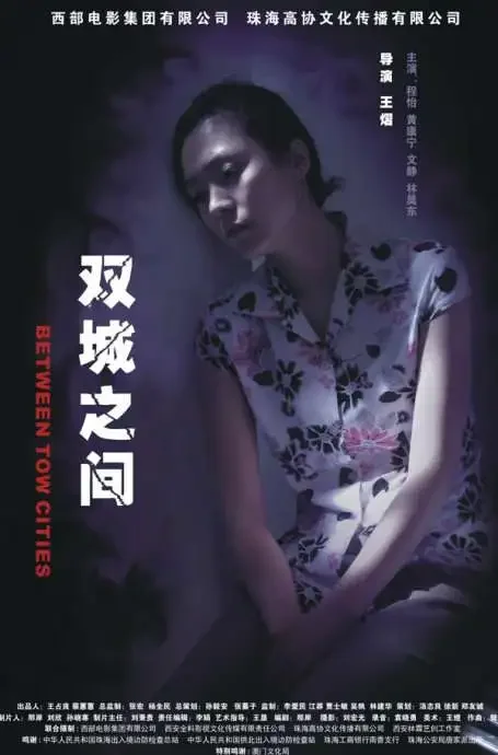 双城之间电影海报