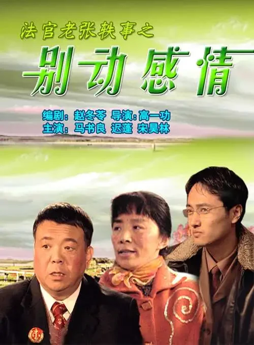 法官老张轶事之别动感情电影海报
