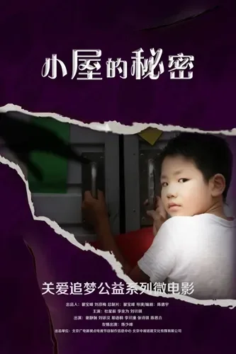 小屋的秘密电影海报