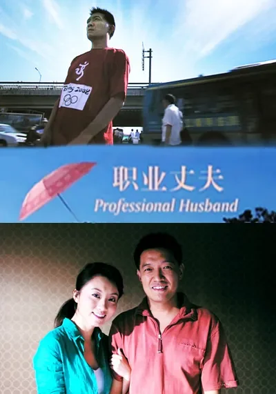 职业丈夫电影海报