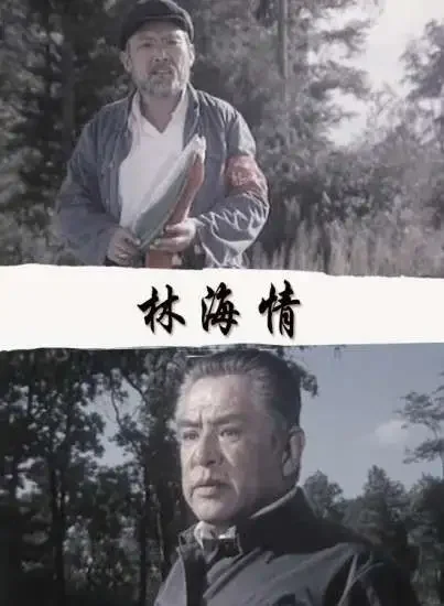 林海情电影海报