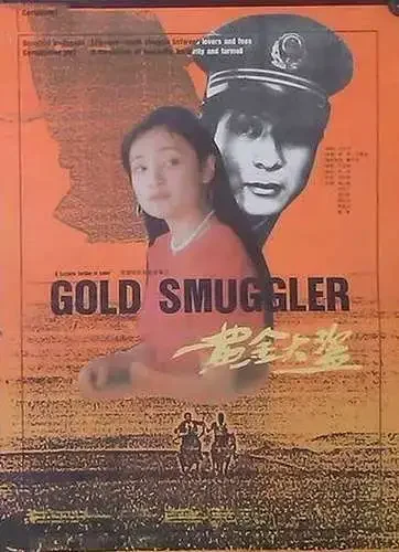 黄金大盗电影海报