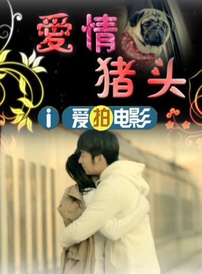 爱情猪头