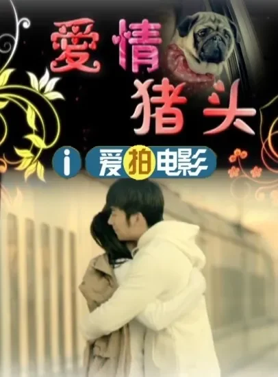 爱情猪头电影海报