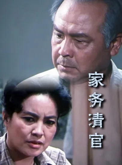 家务清官电影海报