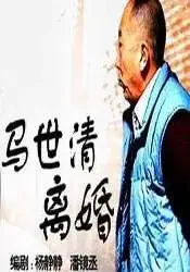 马世清离婚电影海报
