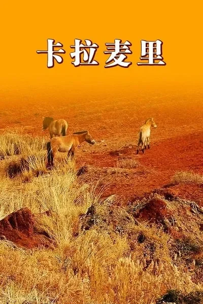 卡拉麦里电影海报