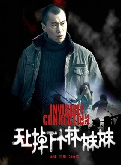 天上掉下个林妹妹电影海报