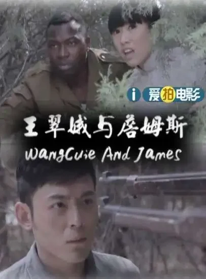 王翠娥与詹姆斯电影海报