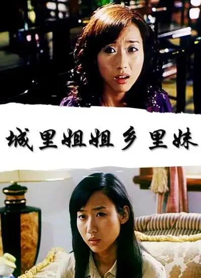 城里姐姐乡里妹电影海报