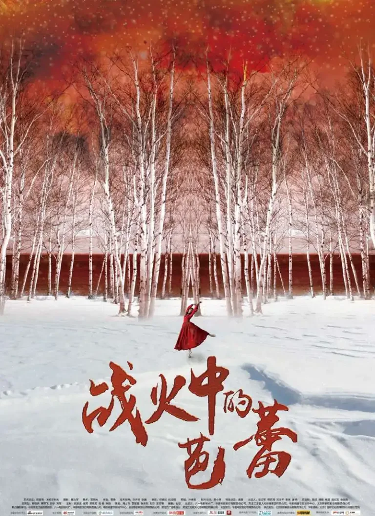 战火中的芭蕾电影海报
