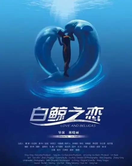 白鲸之恋电影海报