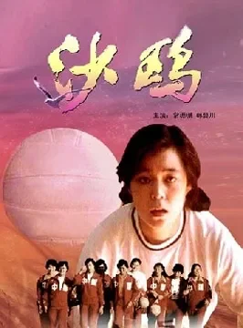 沙鸥电影海报