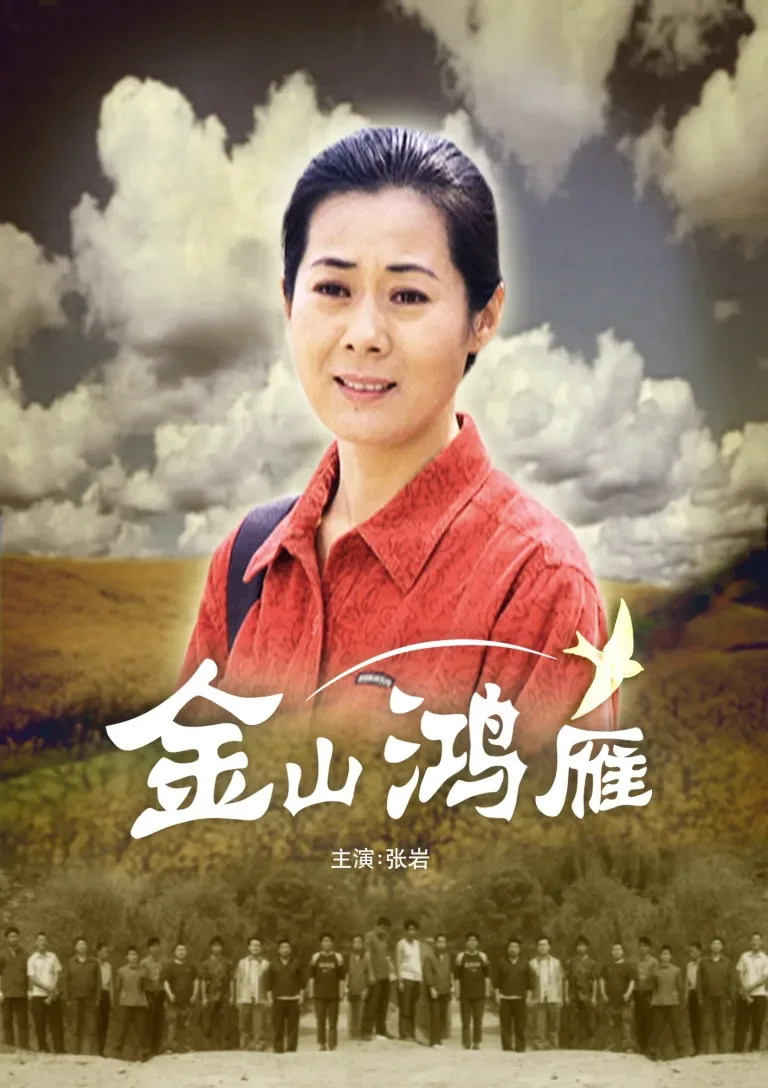 金山鸿雁电影海报