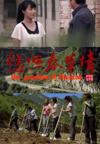 悠悠春草情电影海报