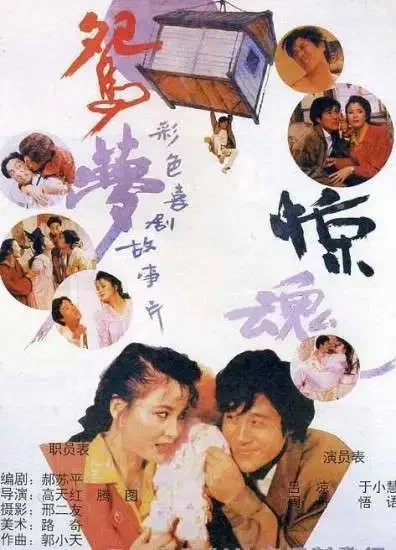 鸳梦惊魂电影海报