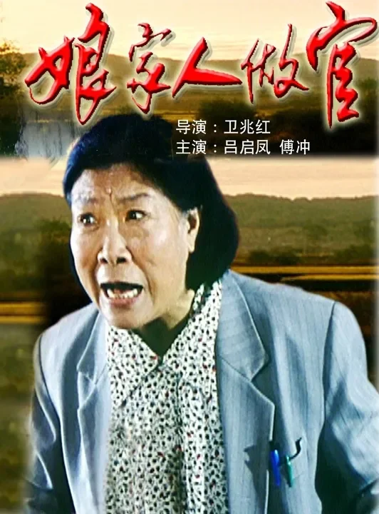 娘家人做官电影海报