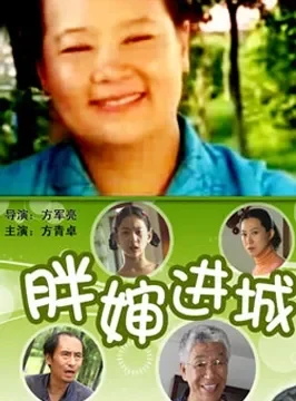 胖婶进城电影海报