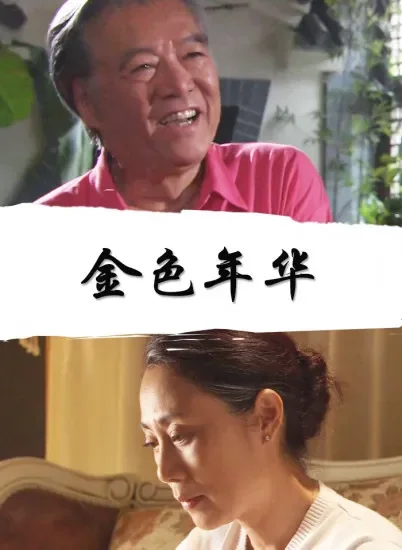 金色年华电影海报