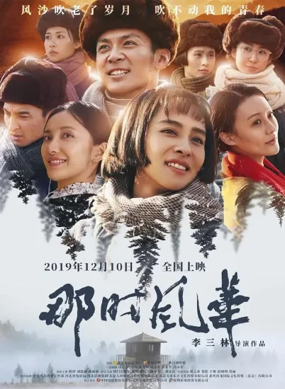 那时风华电影海报