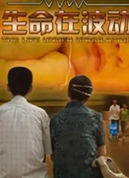 生命在波动电影海报