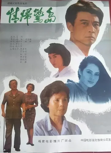 情归鹭岛电影海报
