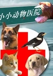 小小动物医院电影海报