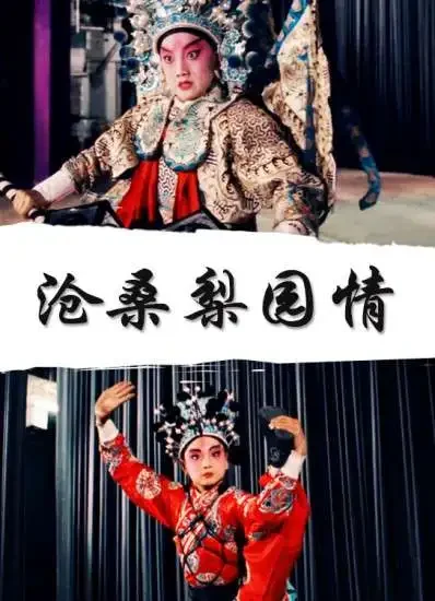 沧桑梨园情电影海报