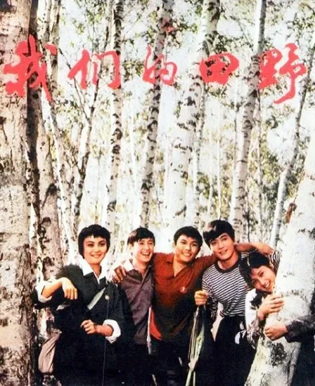 我们的田野电影海报