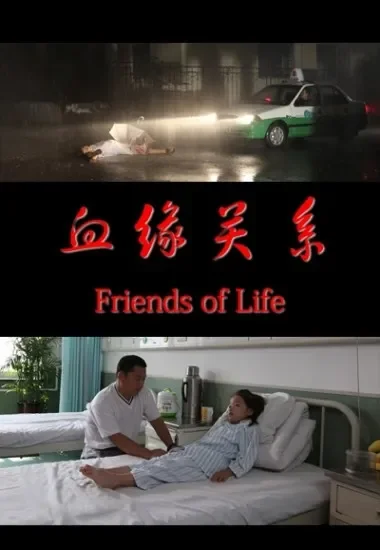 血缘关系电影海报