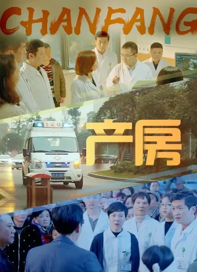产房电影海报