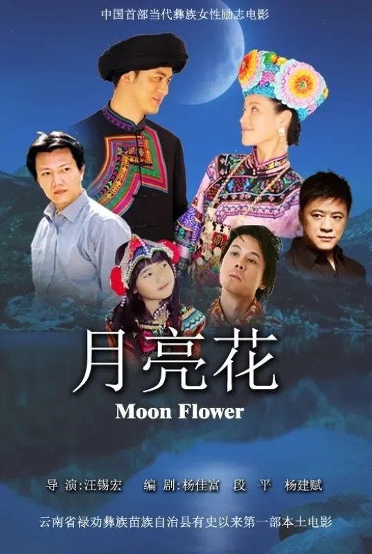 月亮花电影海报