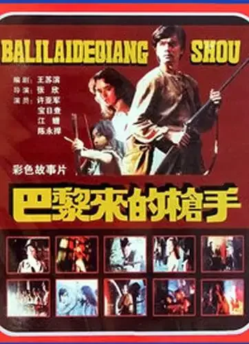 巴黎来的枪手电影海报