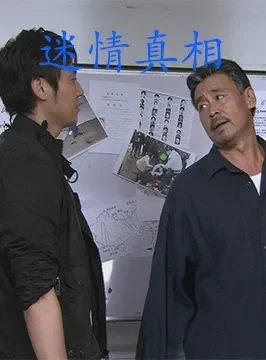 迷情真相电影海报