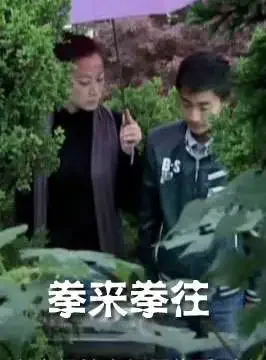 拳来拳往电影海报