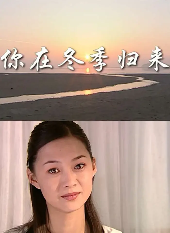你在冬季归来电影海报