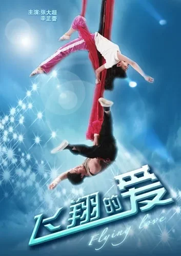 飞翔的爱电影海报